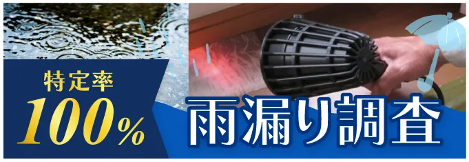 雨漏り調査